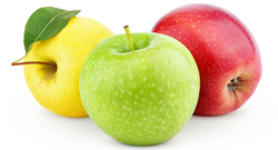 bulk apple puree suppliers