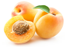 bulk apricot puree suppliers