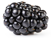 bulk blackberry juice concentrate suppliers