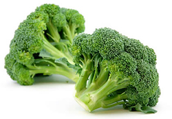 bulk broccoli puree suppliers