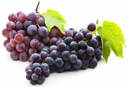 bulk nfc concord grape juice suppliers