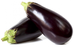 bulk eggplant puree suppliers