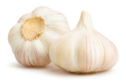 bulk garlic paste suppliers