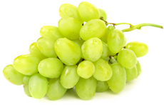 bulk green grape juice concentrate suppliers