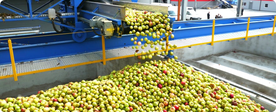 Fruit Juice Concentrates Production Process