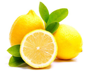 bulk lemon puree suppliers