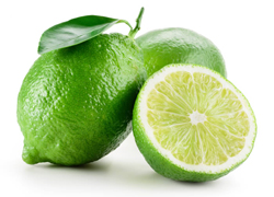 bulk lime juice concentrate suppliers