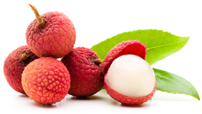 bulk lychee puree suppliers