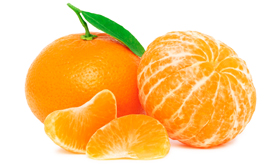 bulk mandarin orange cells suppliers