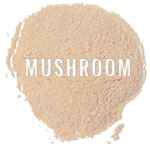 bulk mushroom powder