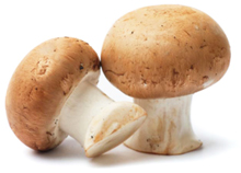 bulk frozen mushroom suppliers