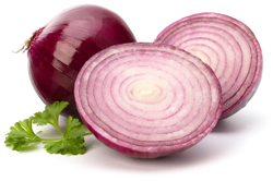 bulk onion puree suppliers