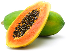 bulk frozen papaya suppliers