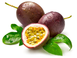 bulk passion fruit puree suppliers
