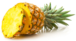 bulk pineapple puree suppliers
