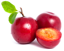 bulk plum juice concentrate suppliers