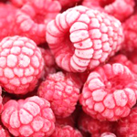 iqf frozen raspberry
