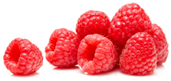 bulk raspberry puree suppliers