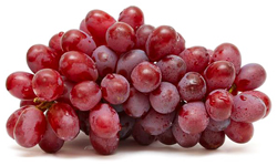 bulk nfc red grape juice suppliers
