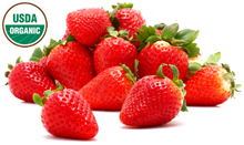 bulk strawberry juice concentrate suppliers