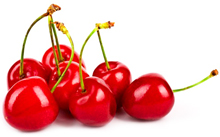 bulk tart cherry puree suppliers