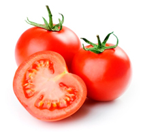 bulk tomato puree suppliers